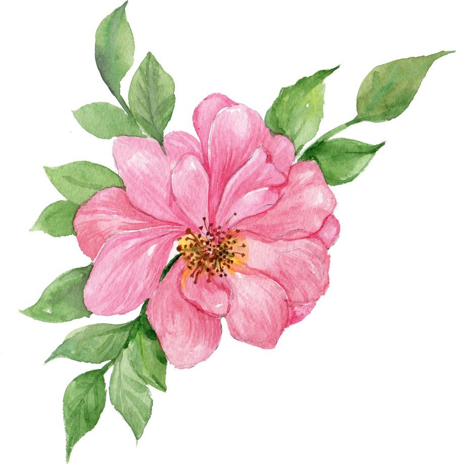 Flower Watercolor Wild Rose Briar Element